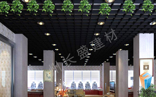 黑色鋁格柵應用效果實(shí)拍圖